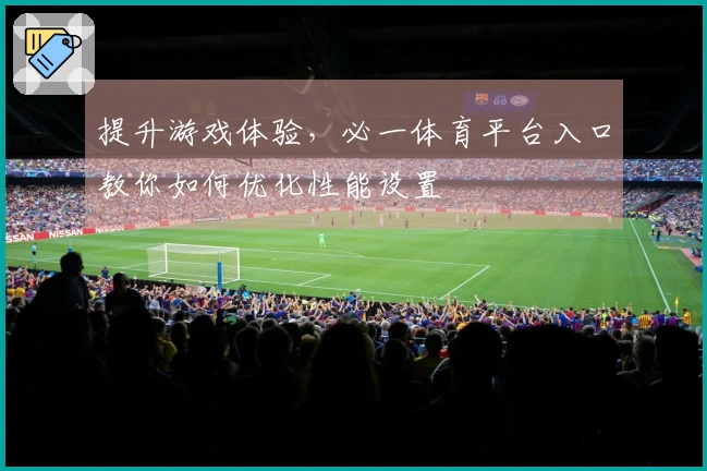 提升游戏体验，必一体育平台入口教你如何优化性能设置