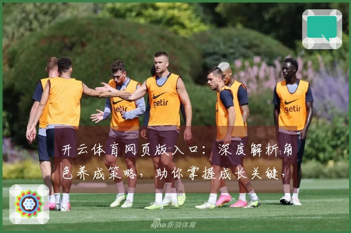 开云体育网页版入口：深度解析角色养成策略，助你掌握成长关键，收益最大化